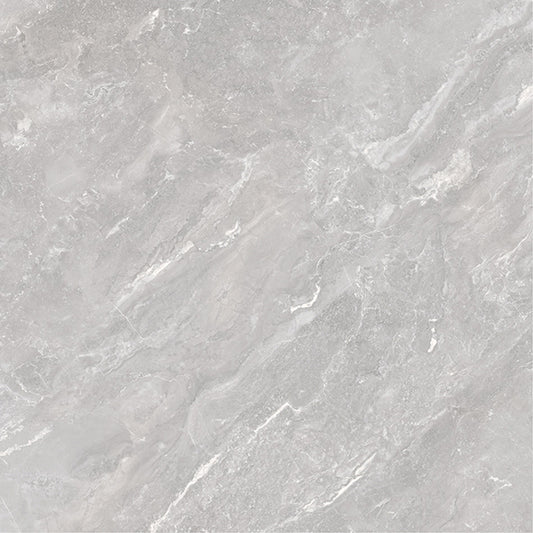 600x600mm Coast Ash Porcelain Tiles FH6001