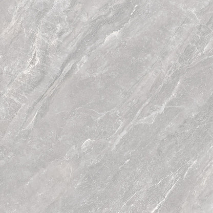 600x600mm Coast Ash Porcelain Tiles FH6001